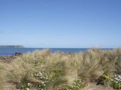 100_2115.JPG
