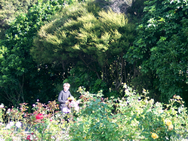 100_0979.JPG