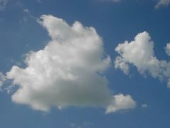 PDR_0544.JPG